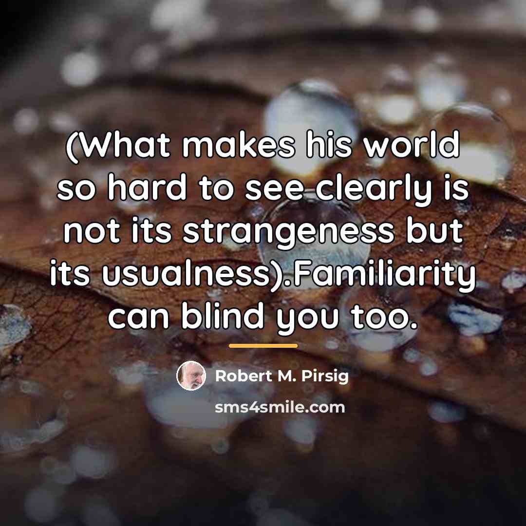 “(What makes his world so hard to see clearly is…” quote by Robert M. Pirsig