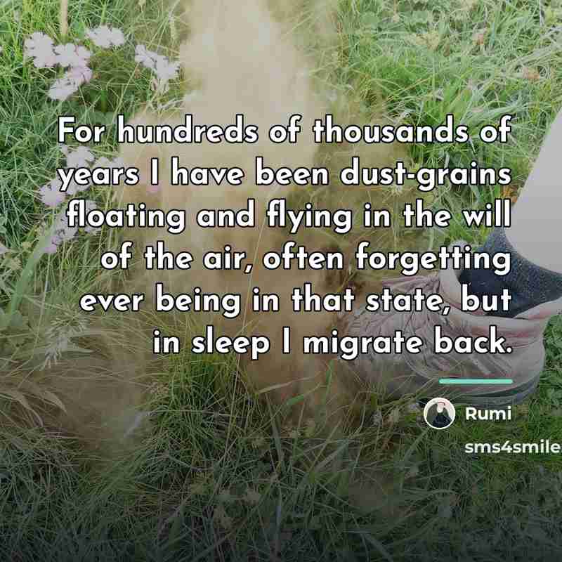 “For hundreds of thousands of years I have been dust-grains…” quote by Rumi
