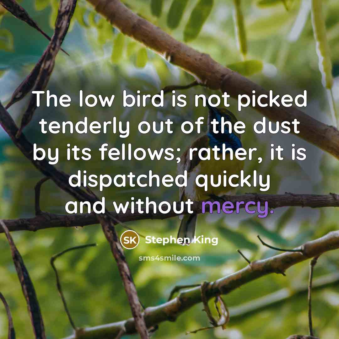 “The low bird is not picked tenderly out of the…” quote by Stephen King