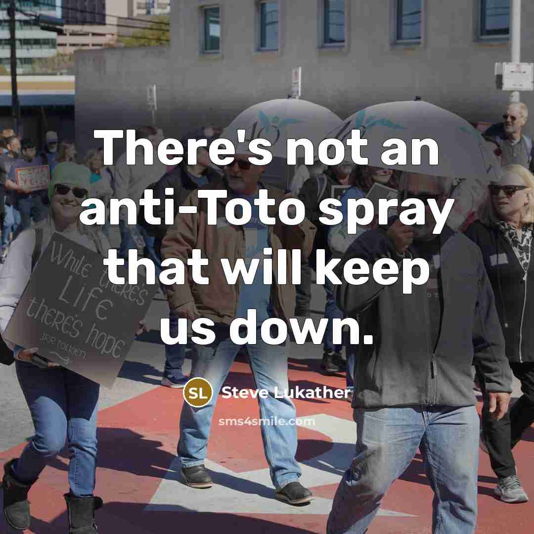 “There's not an anti-Toto spray that will keep us down.” quote by Steve Lukather