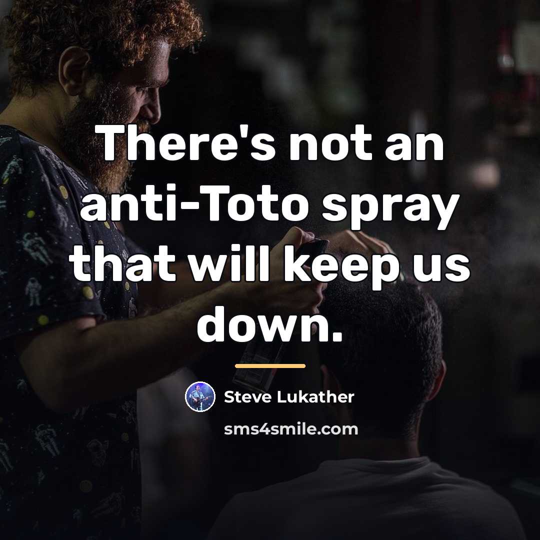 “There's not an anti-Toto spray that will keep us down.…” quote by Steve Lukather