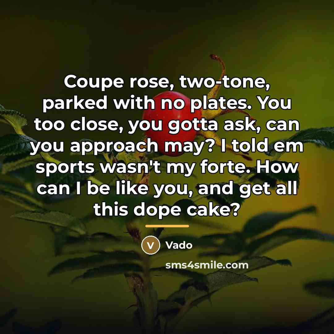 “Coupe rose, two-tone, parked with no plates. You too close,…” quote by Vado