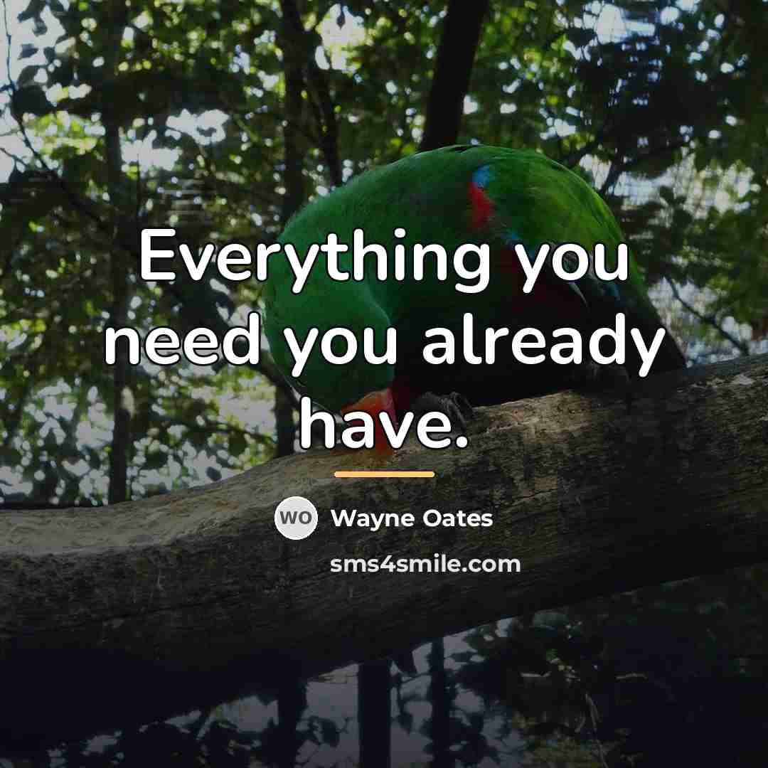 “Everything you need you already have.…” quote by Anonymous