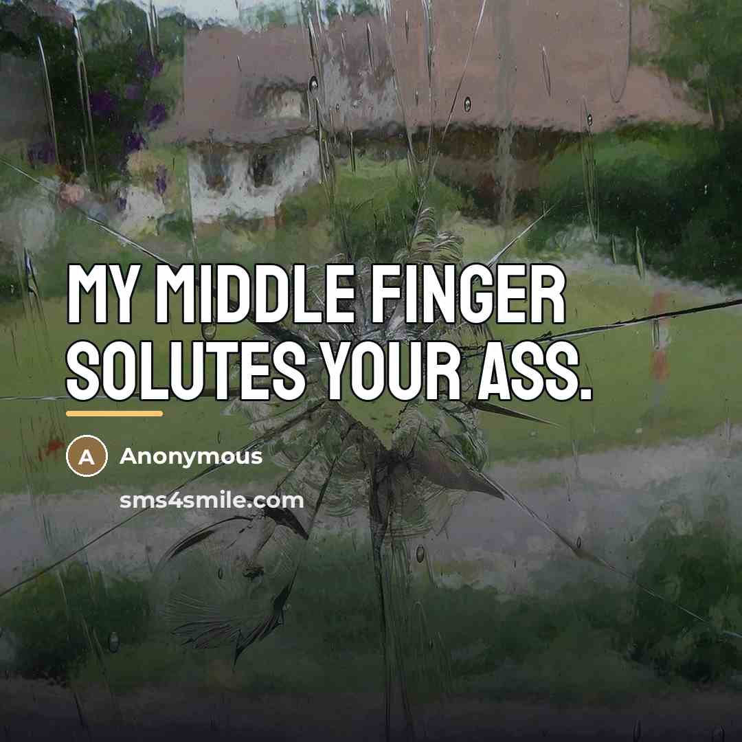 “My middle finger solutes your ass.…” quote by Anonymous