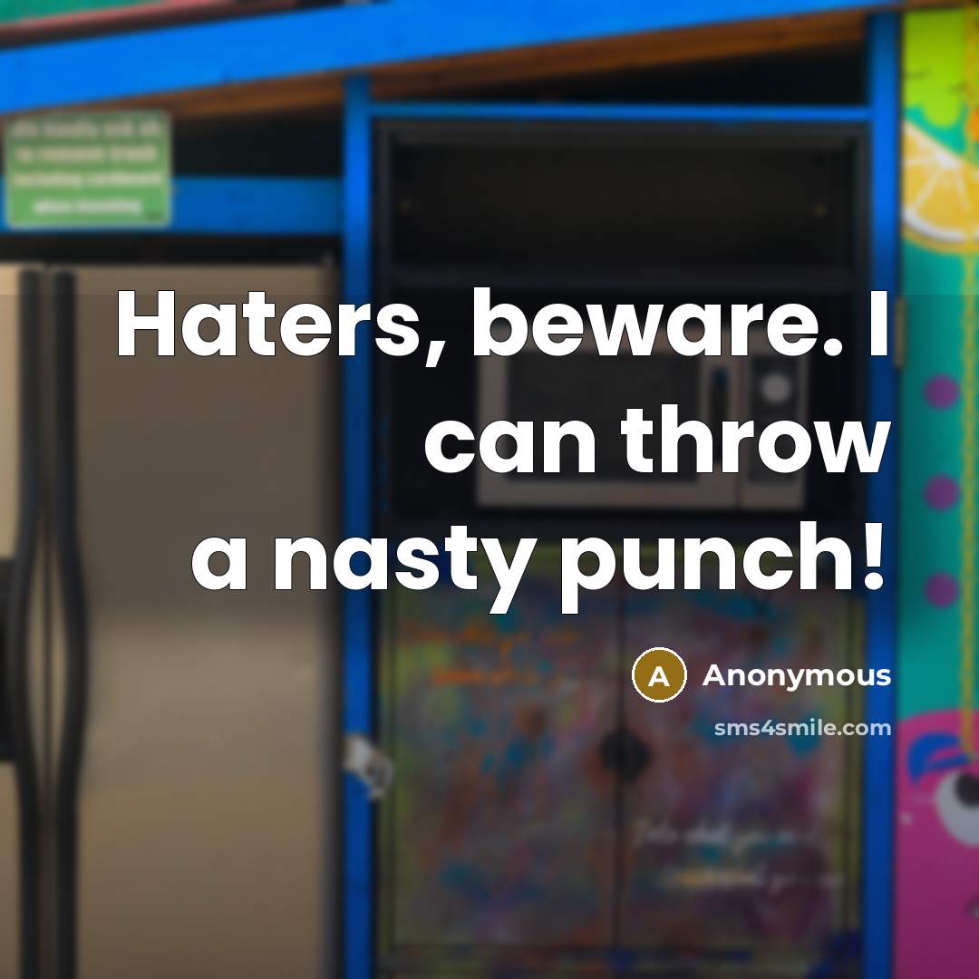 “Haters, beware. I can throw a nasty punch!…” quote by Anonymous