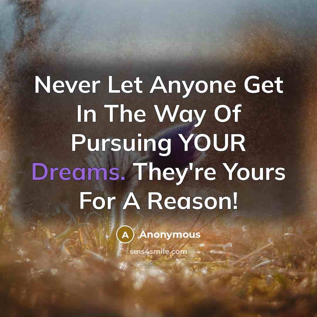 “Never Let Anyone Get In The Way Of Pursuing YOUR…” quote by Anonymous