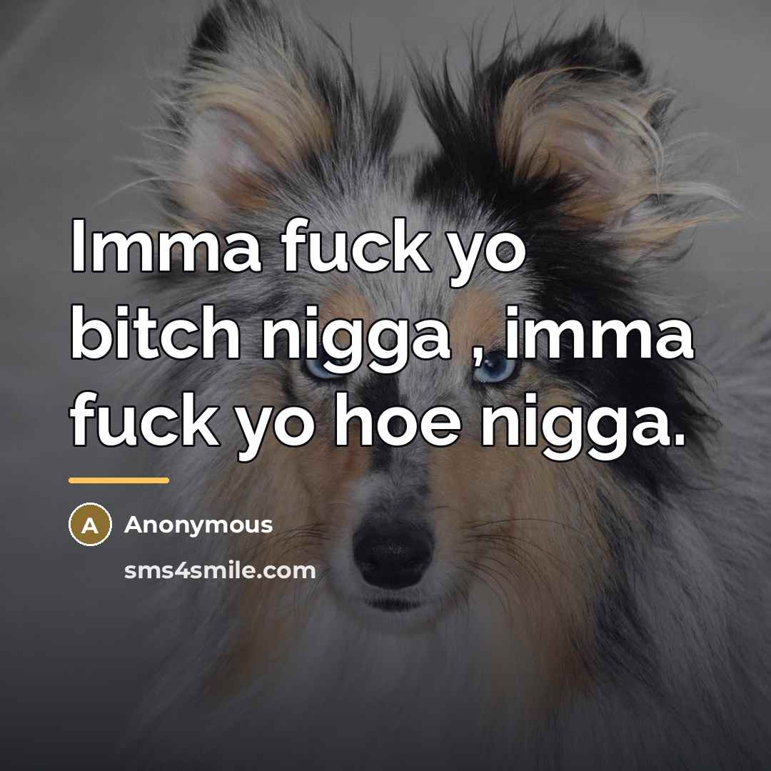 “Imma fuck yo bitch nigga , imma fuck yo hoe…” quote by Anonymous