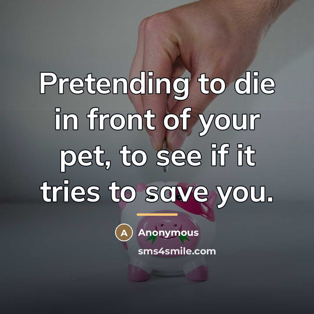 “Pretending to die in front of your pet, to see…” quote by Anonymous