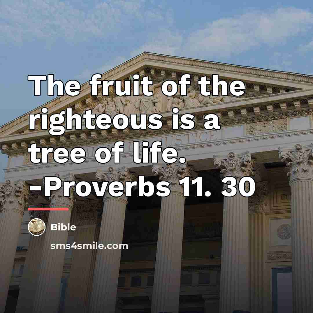 “The fruit of the righteous is a tree of life.…” quote by Bible