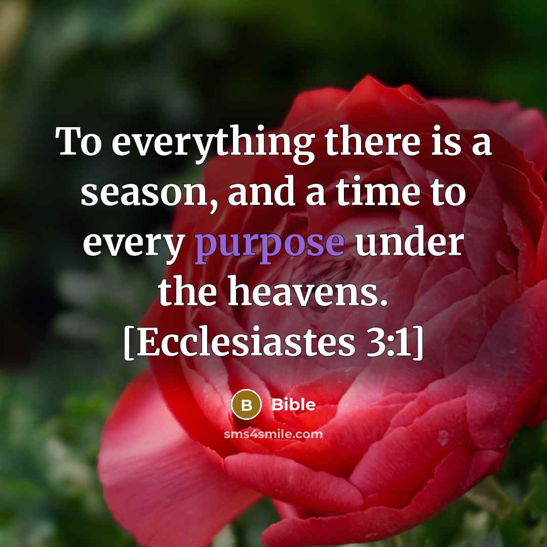 “To everything there is a season, and a time to…” quote by Bible