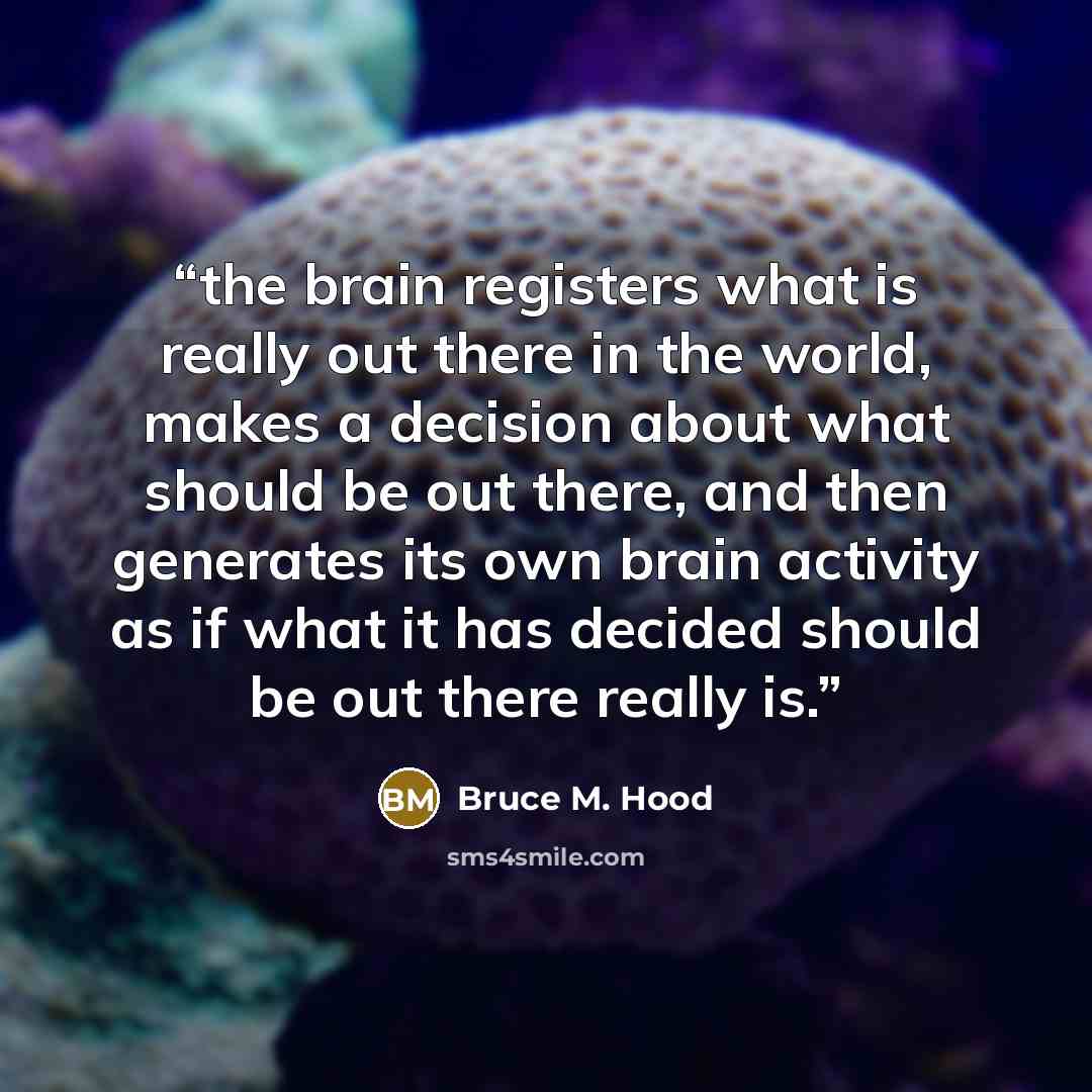 “the brain registers what is really out there in the world, makes a decision about what should be out there, and then generates its own brain activity as if what it has decided should be out there really is.” quote by Bruce M. Hood