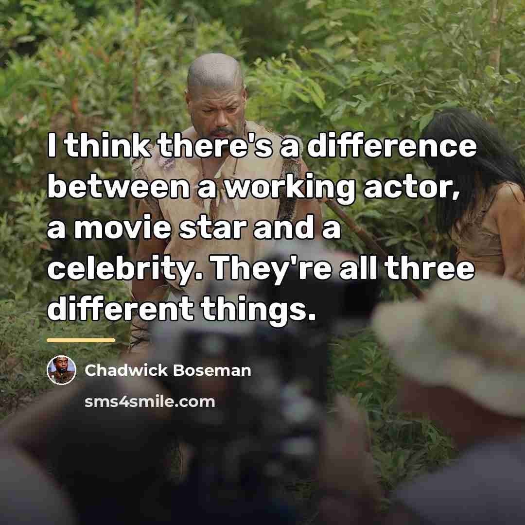 “I think there's a difference between a working actor, a…” quote by Chadwick Boseman