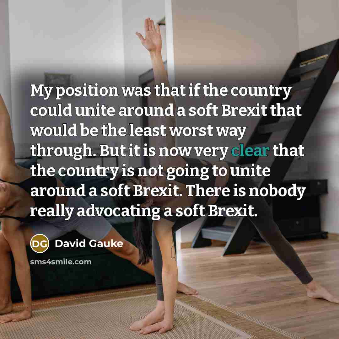 “My position was that if the country could unite around…” quote by David Gauke