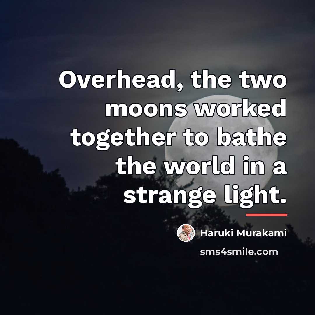 “Overhead, the two moons worked together to bathe the world…” quote by Haruki Murakami