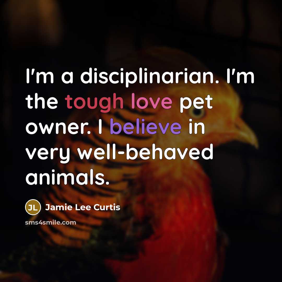 “I'm a disciplinarian. I'm the tough love pet owner. I…” quote by Jamie Lee Curtis