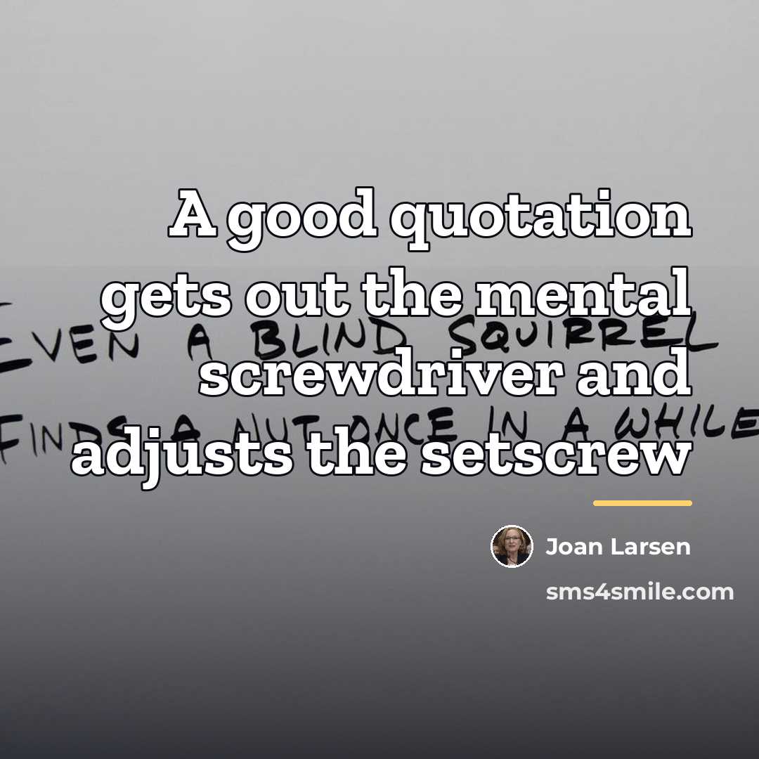 “A good quotation gets out the mental screwdriver and adjusts…” quote by Joan Larsen