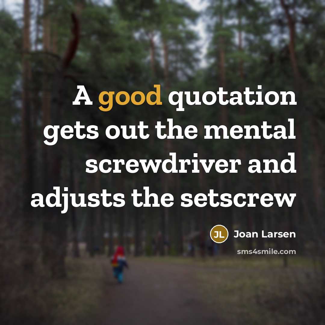 “A good quotation gets out the mental screwdriver and adjusts the setscrew” quote by Joan Larsen