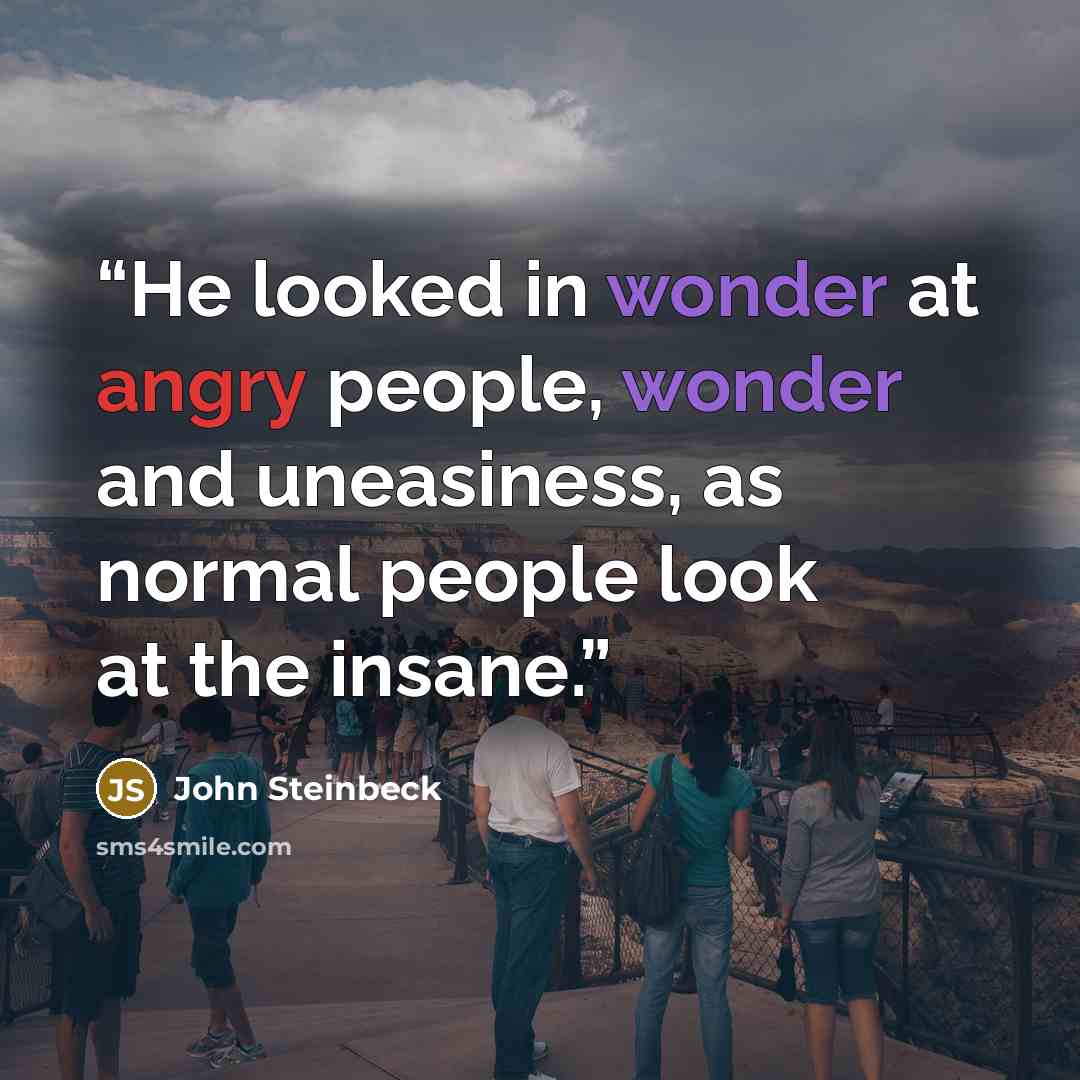 “He looked in wonder at angry people, wonder and uneasiness, as normal people look at the insane.” quote by John Steinbeck