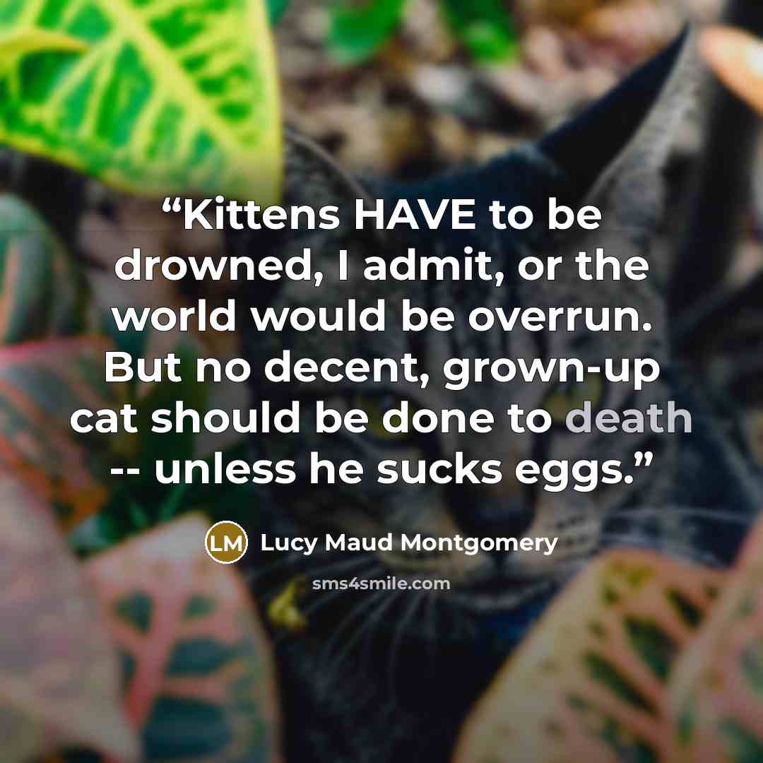 “Kittens HAVE to be drowned, I admit, or the world would be overrun. But no decent, grown-up cat should be done to death -- unless he sucks eggs.” quote by Lucy Maud Montgomery