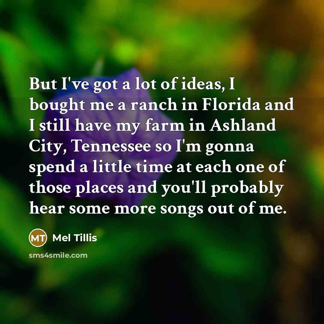 “But I've got a lot of ideas, I bought me…” quote by Mel Tillis