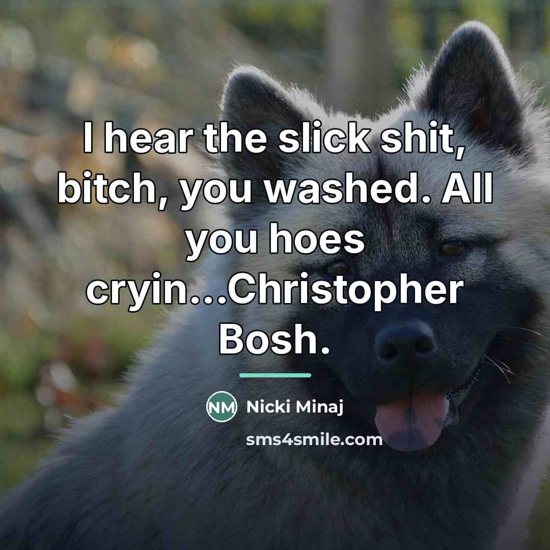 “I hear the slick shit, bitch, you washed. All you…” quote by Nicki Minaj