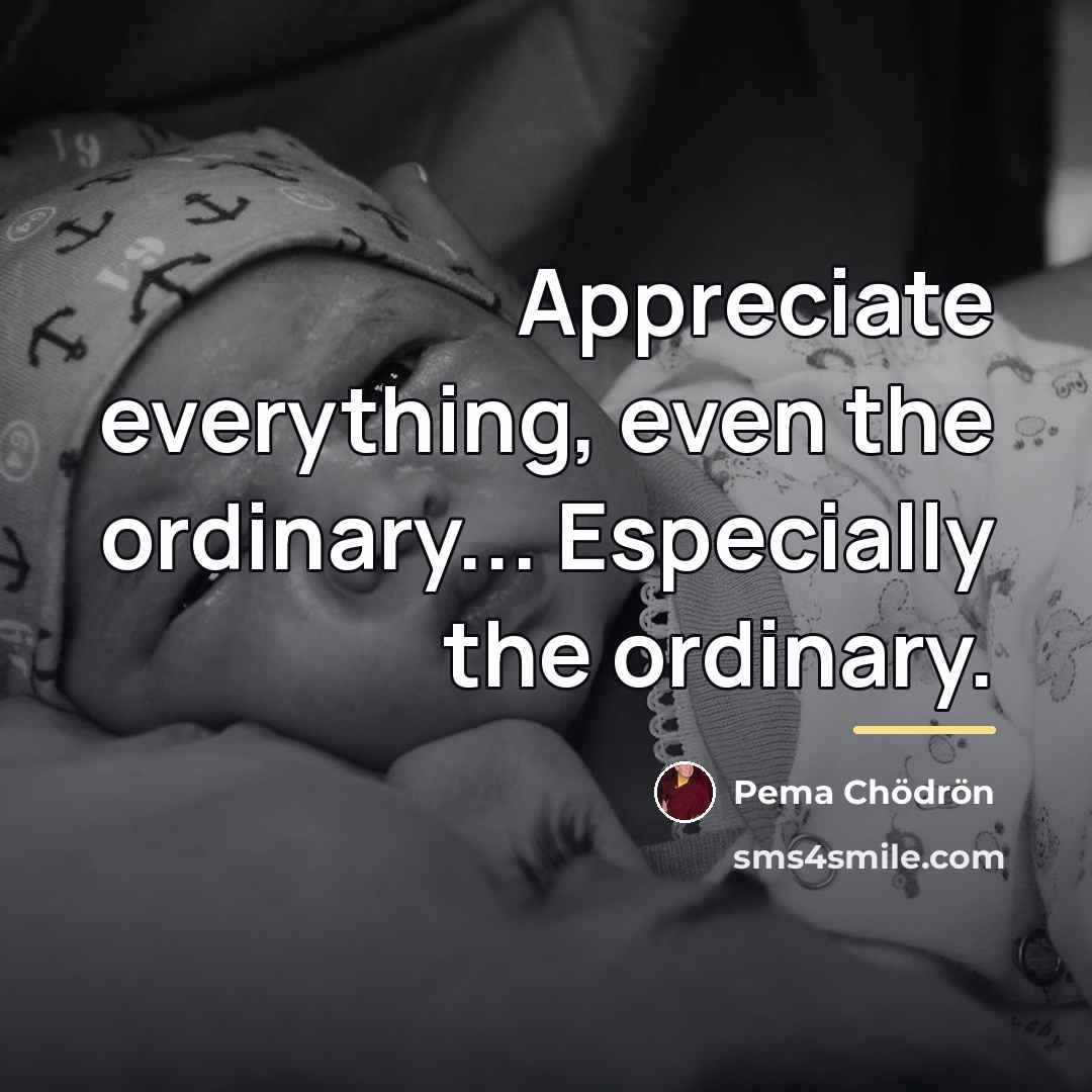“Appreciate everything, even the ordinary... Especially the ordinary.…” quote by Pema Chodron
