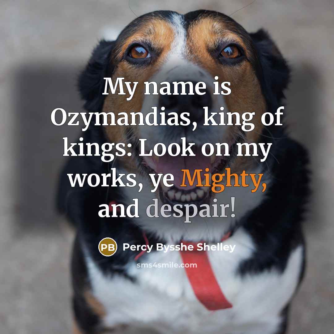 “My name is Ozymandias, king of kings: Look on my…” quote by Percy Bysshe Shelley