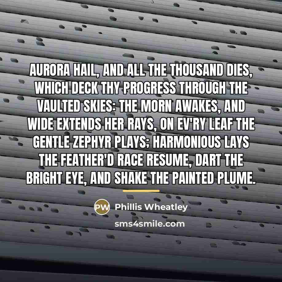 “Aurora hail, and all the thousand dies, Which deck thy…” quote by Phillis Wheatley