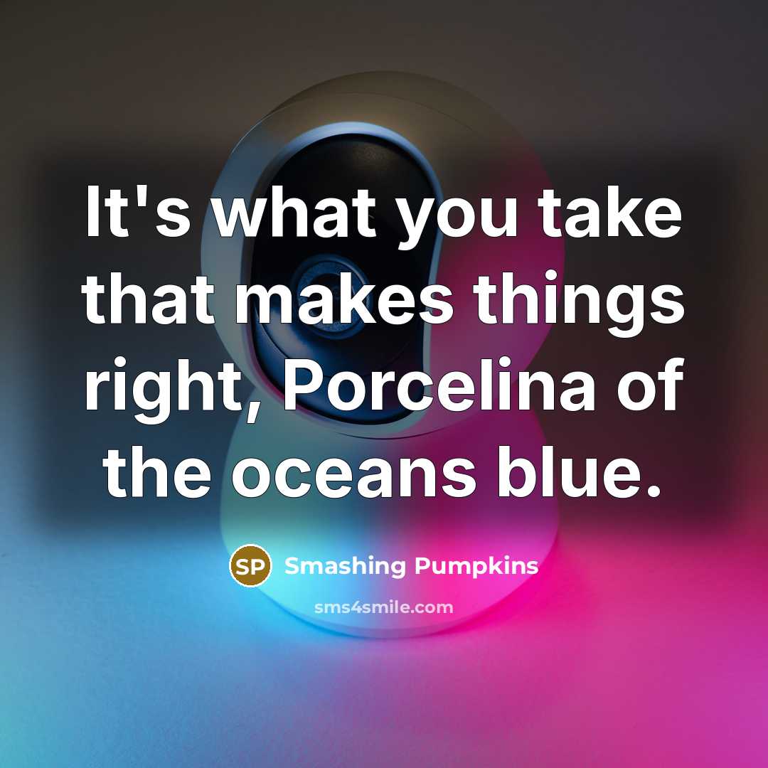 “It's what you take that makes things right, Porcelina of the oceans blue.” quote by Smashing Pumpkins