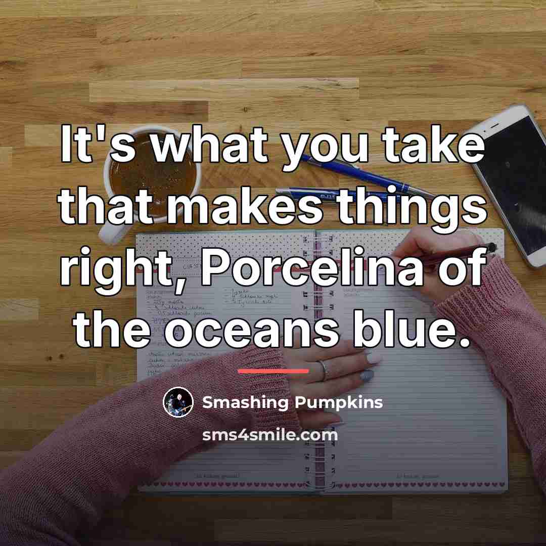 “It's what you take that makes things right, Porcelina of…” quote by Smashing Pumpkins