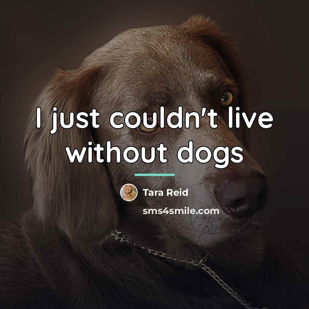 “I just couldn't live without dogs…” quote by Tara Reid