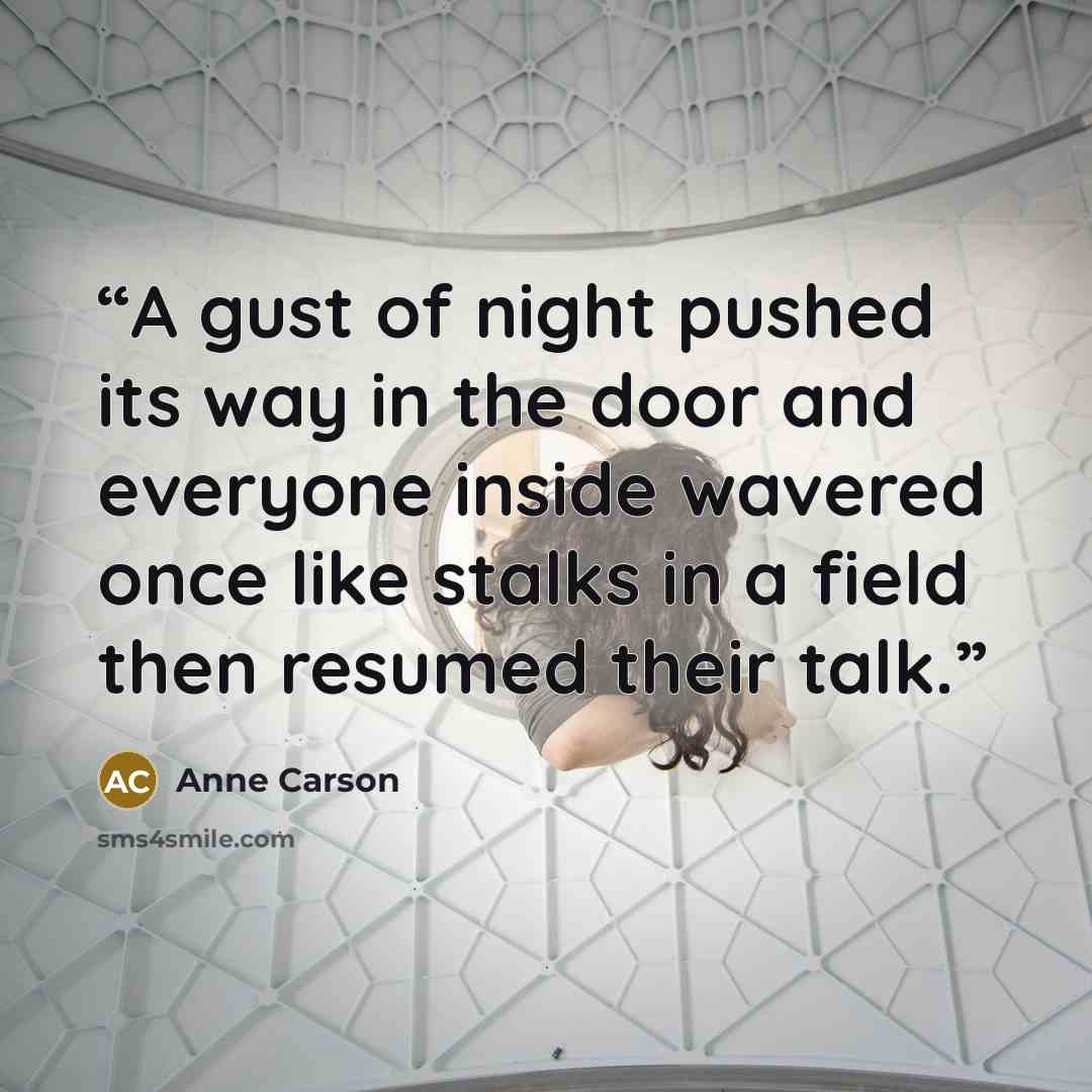 “A gust of night pushed its way in the door and everyone inside wavered once like stalks in a field then resumed their talk.” quote by Anne Carson
