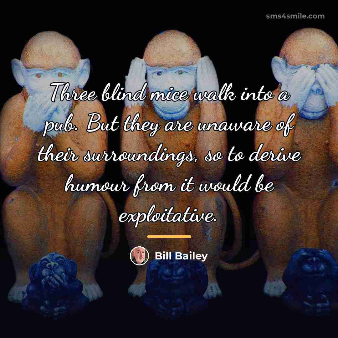 “Three blind mice walk into a pub. But they are…” quote by Bill Bailey