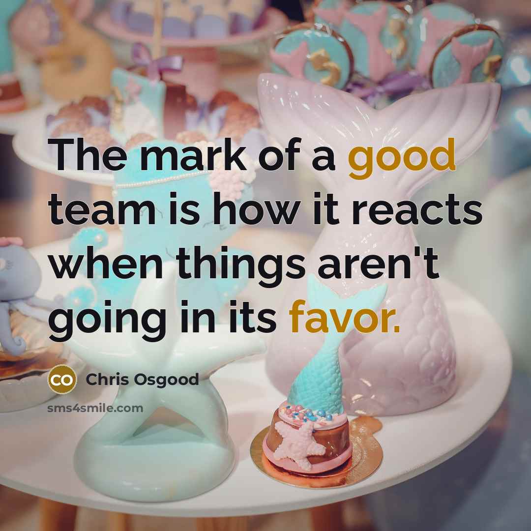 “The mark of a good team is how it reacts…” quote by Chris Osgood