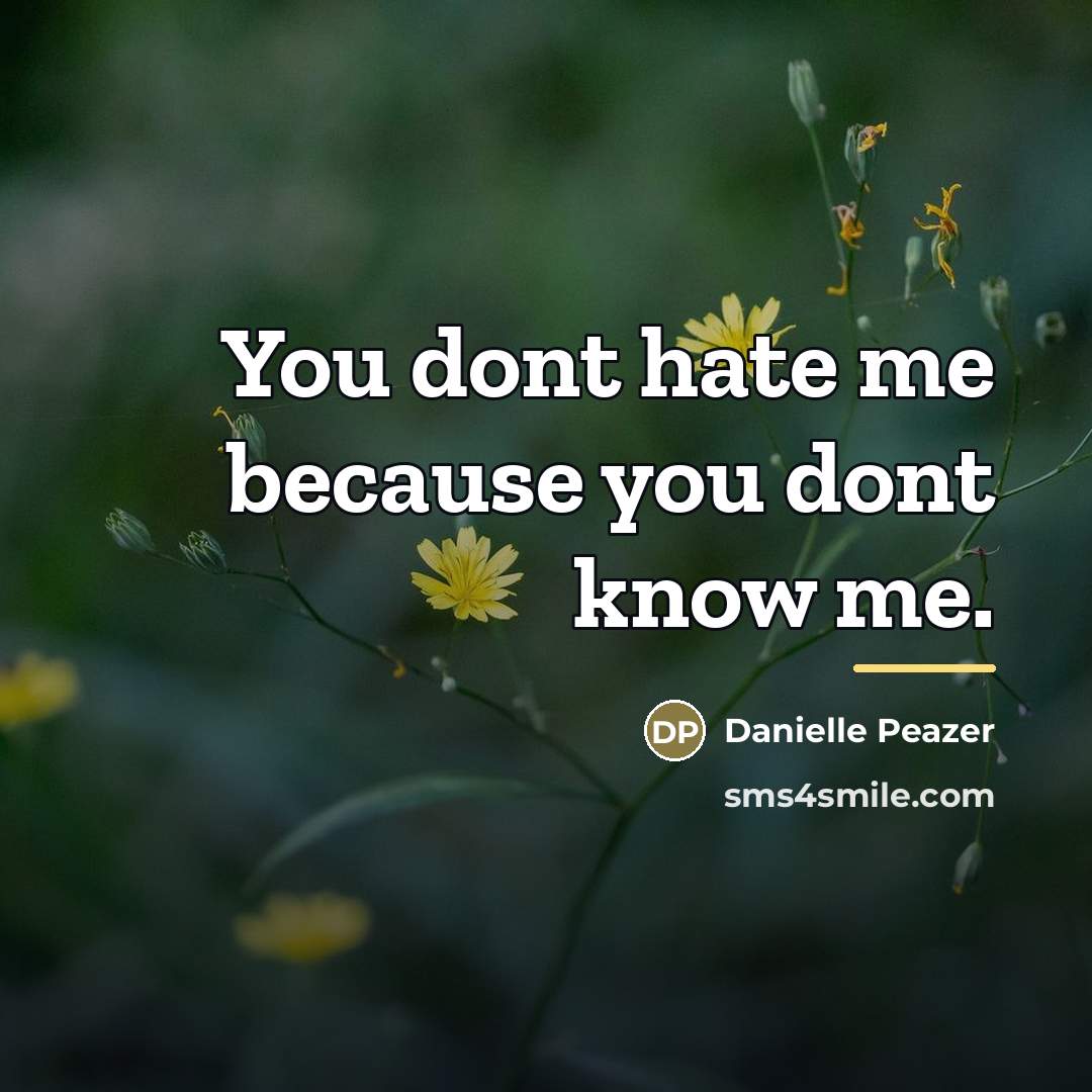 “You dont hate me because you dont know me.…” quote by Danielle Peazer