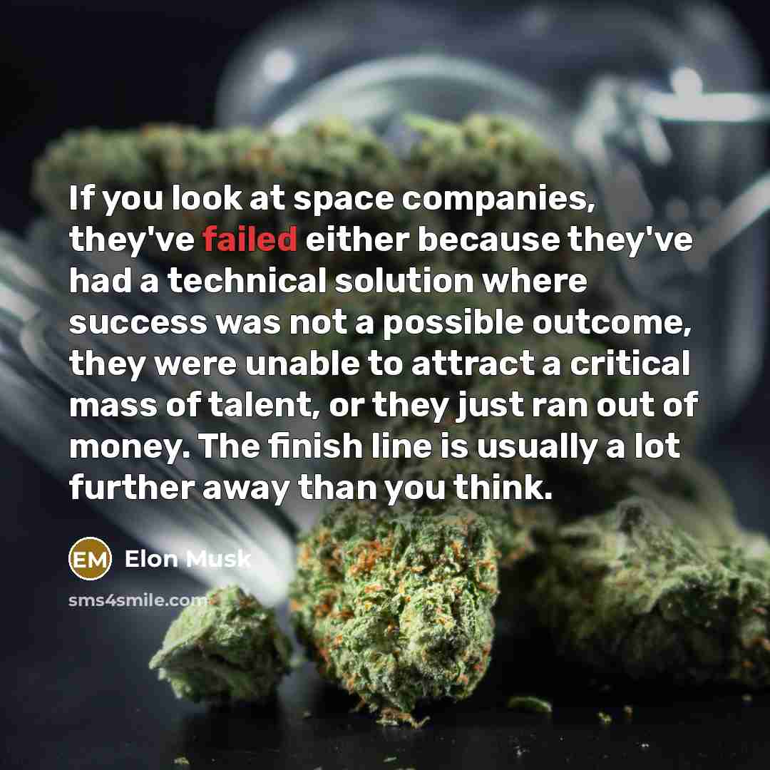 “If you look at space companies, they've failed either because…” quote by Elon Musk