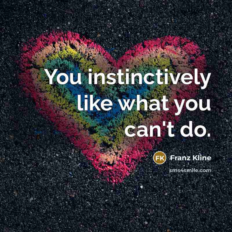 “You instinctively like what you can't do.…” quote by Franz Kline