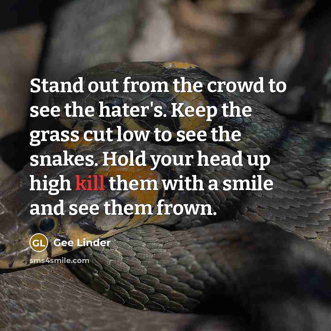 “Stand out from the crowd to see the hater's. Keep the grass cut low to see the snakes. Hold your head up high kill them with a smile and see them frown.” quote by Gee Linder