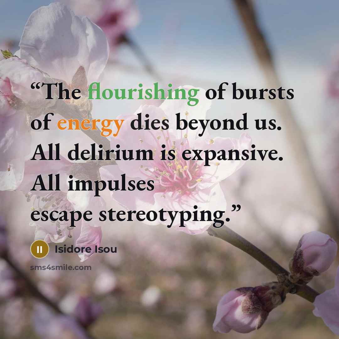 “The flourishing of bursts of energy dies beyond us. All delirium is expansive. All impulses escape stereotyping.” quote by Isidore Isou
