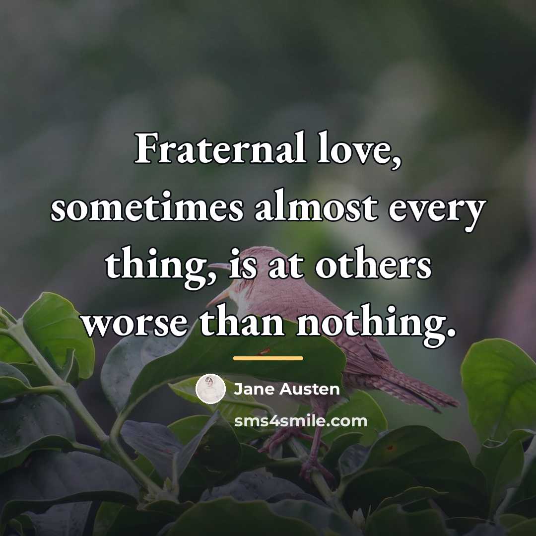 “Fraternal love, sometimes almost every thing, is at others worse…” quote by Jane Austen