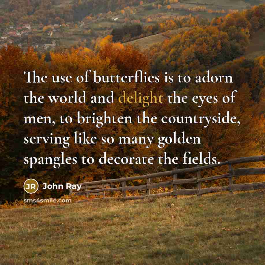 “The use of butterflies is to adorn the world and…” quote by John Ray