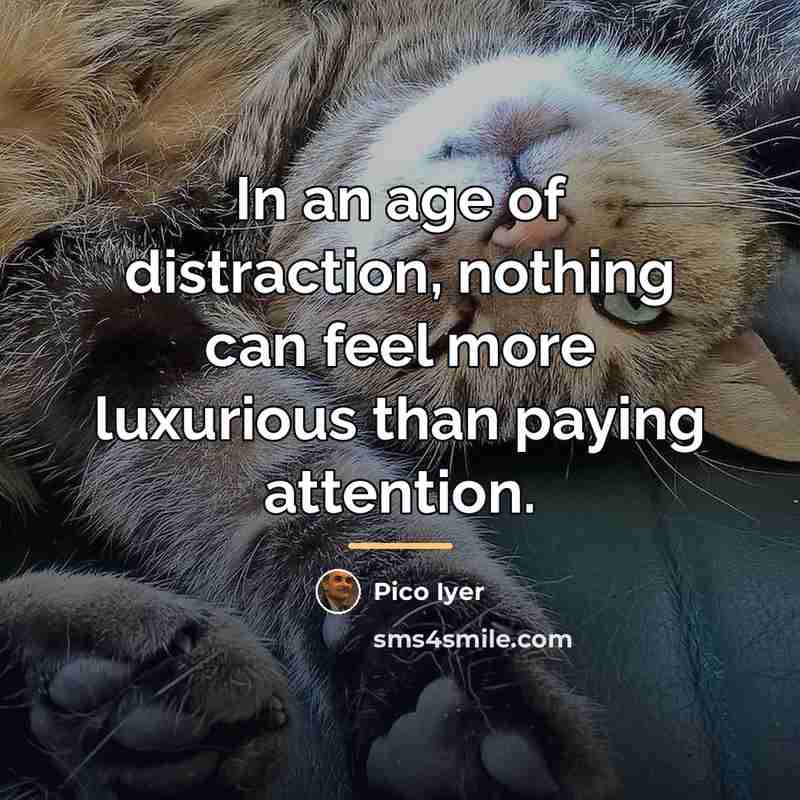 “In an age of distraction, nothing can feel more luxurious…” quote by Pico Iyer