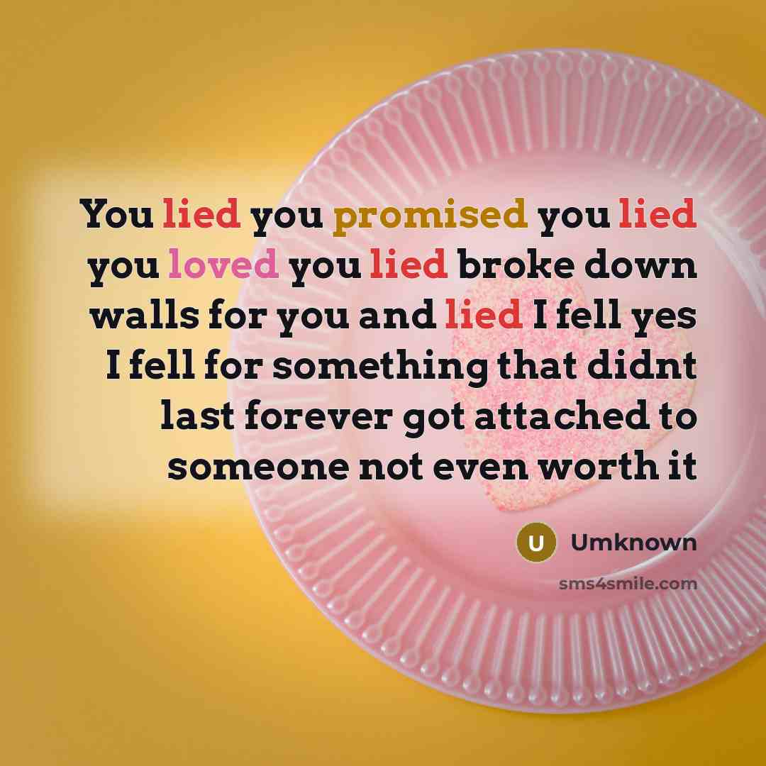 “You lied you promised you lied you loved you lied…” quote by Umknown