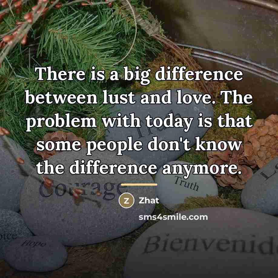 “There is a big difference between lust and love. The…” quote by Zhat