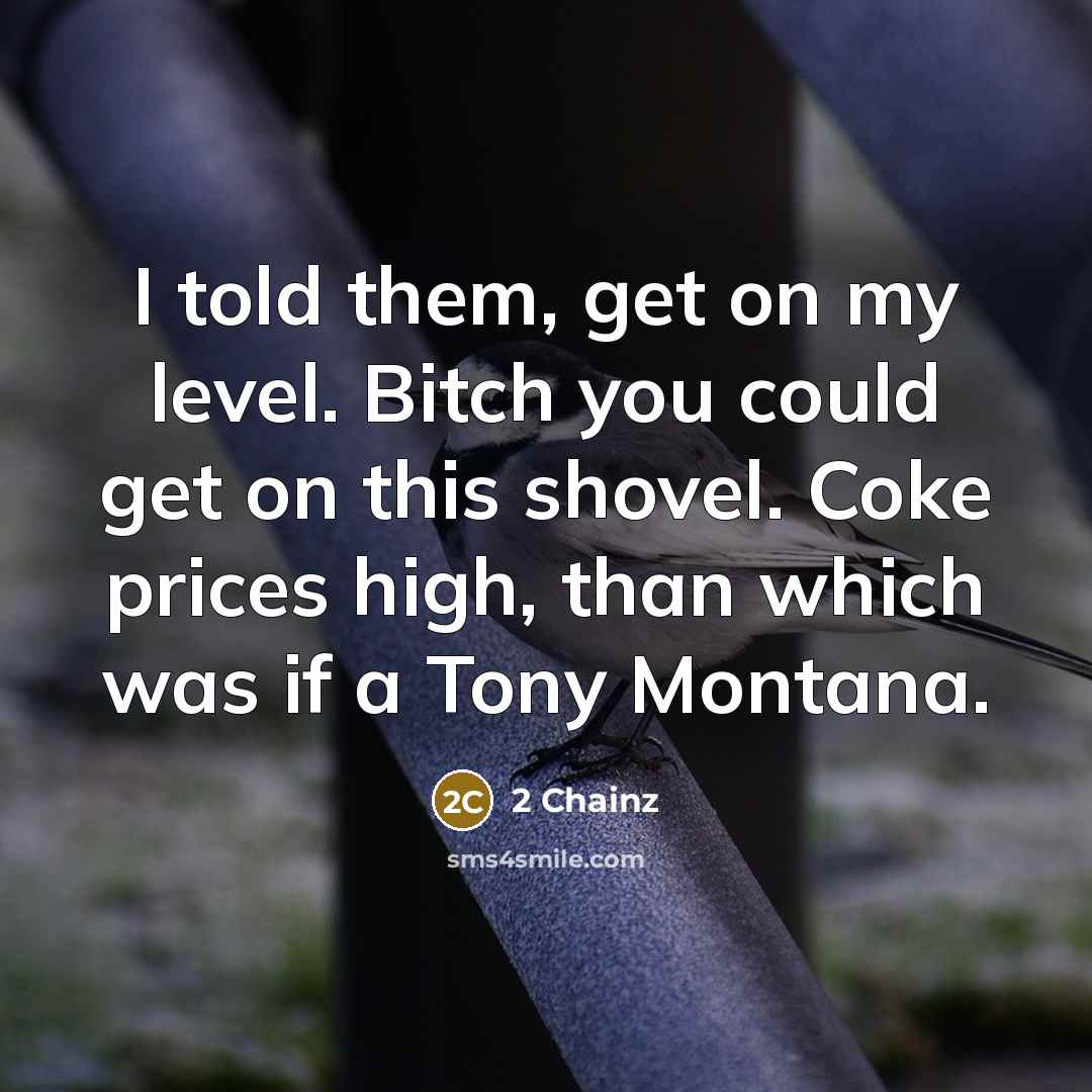 “I told them, get on my level. Bitch you could…” quote by 2 Chainz