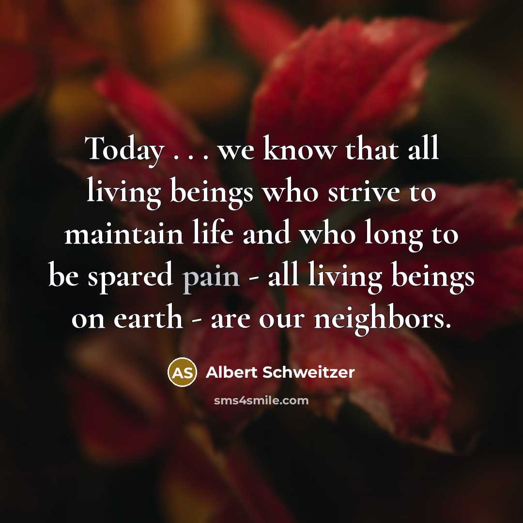 “Today . . . we know that all living beings…” quote by Albert Schweitzer