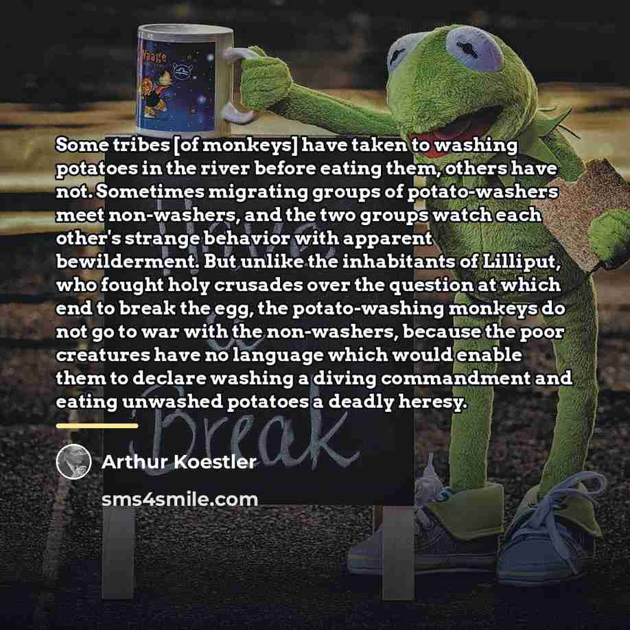 “Some tribes [of monkeys] have taken to washing potatoes in…” quote by Arthur Koestler