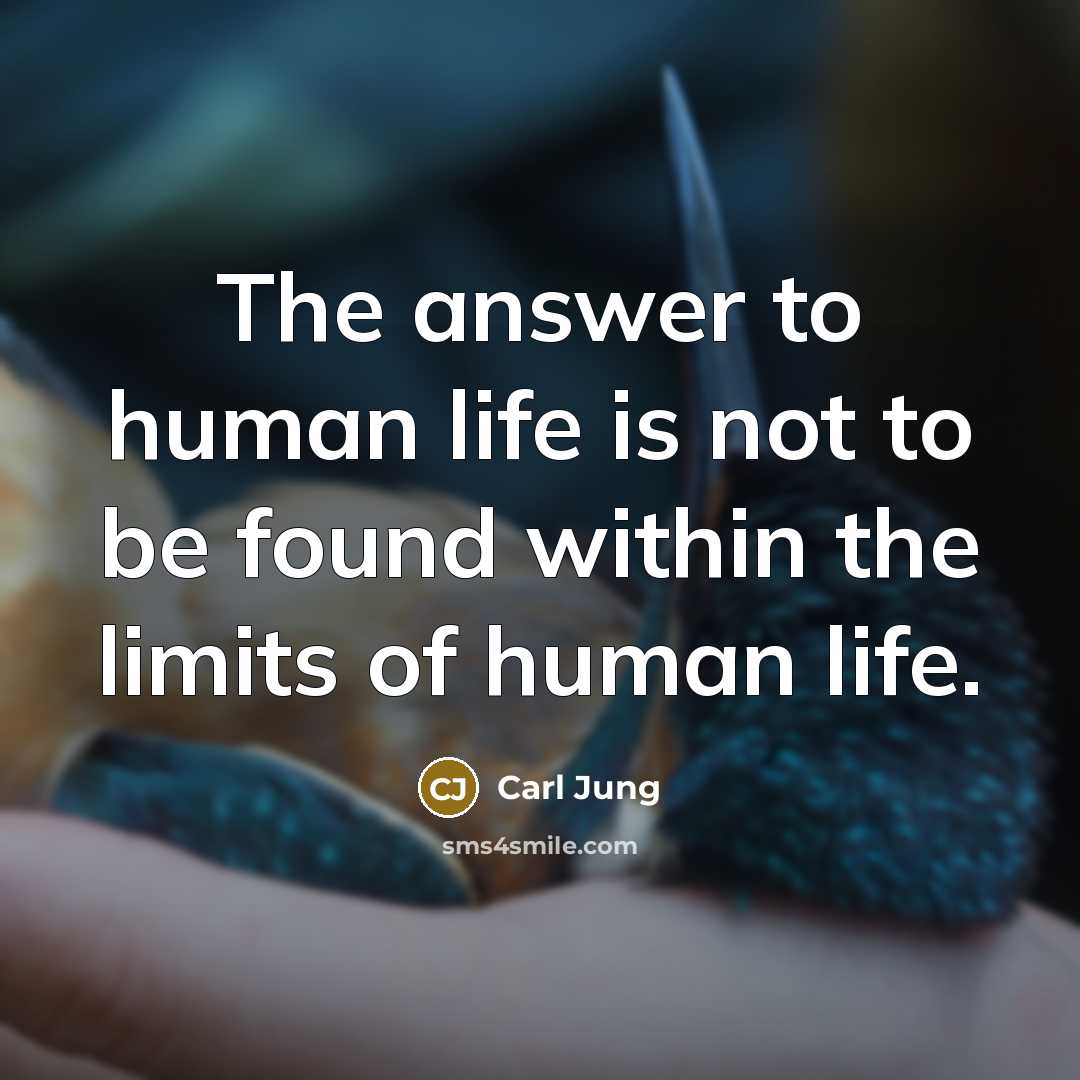 “The answer to human life is not to be found…” quote by Carl Jung