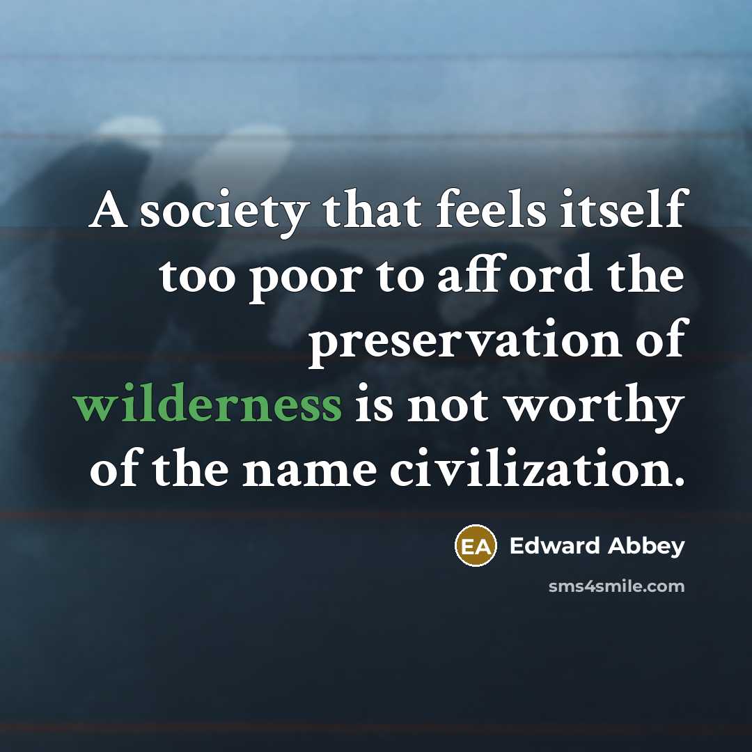 “A society that feels itself too poor to afford the…” quote by Edward Abbey