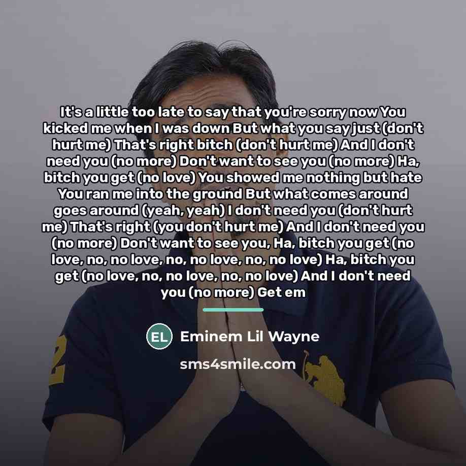 “It's a little too late to say that you're sorry…” quote by Eminem Lil Wayne